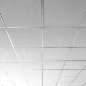 8.-Aluminum-Ceiling- Aluminum/SS Ceiling