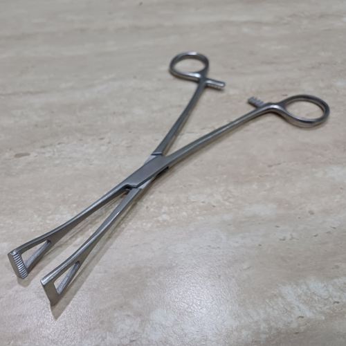 Duval lung forcep